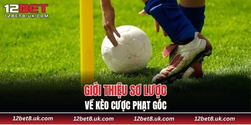Giới thiệu sơ lược về kèo cược phạt góc