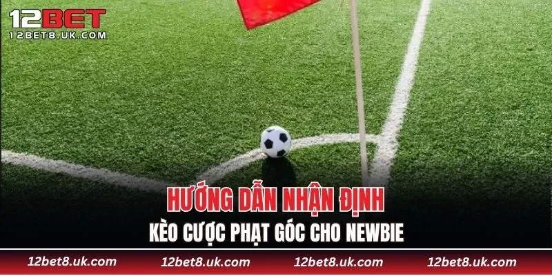 Hướng dẫn nhận định kèo cược phạt góc cho newbie
